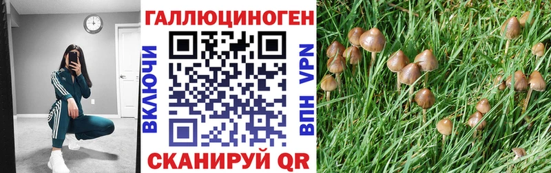 Псилоцибиновые грибы мицелий  mega как зайти  Новохопёрск  где продают наркотики 